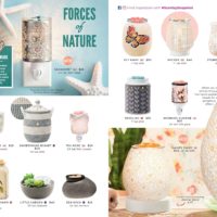 SCENTSY FALL WINTER 2019 CATALOG WARMERS