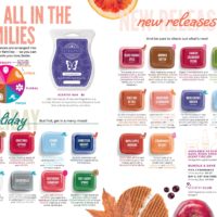 NEW SCENTSY FRAGRANCES FALL 2019