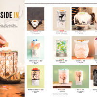 SCENTSY FALL WINTER 2018 2018 CATALOG PAGE 13