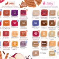 SCENTSY FALL WINTER 2019 COMPLETE SCENT LIST