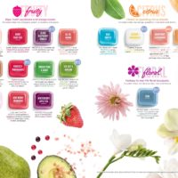 SCENTSY FALL WINTER 2019 CATALOG