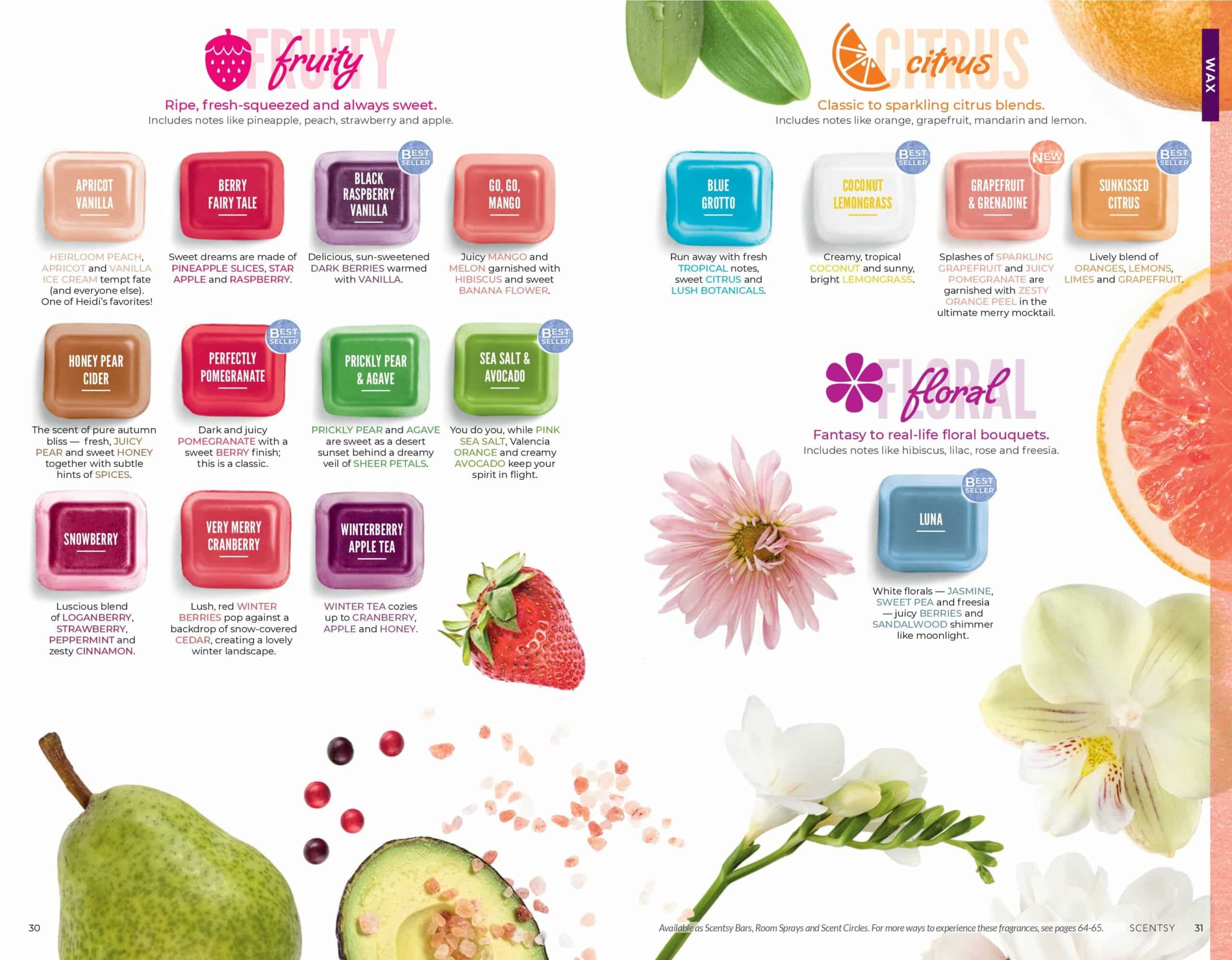 SCENTSY FALL WINTER 2019 CATALOG