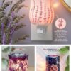 page 15 7 | NEW! Lavender Love Mini Scentsy Warmer | Shop Scentsy | Incandescent.Scentsy.us page 15 7 | NEW! Lavender Love Mini Scentsy Warmer | Shop Scentsy | Incandescent.Scentsy.us