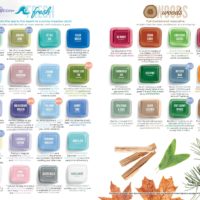 SCENTSY FALL WINTER 2019 CATALOG