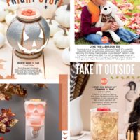 SCENTSY HARVEST 2019 BROCHURE COLLECTION PAGE 2