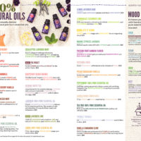 SCENTSY COMPLETE SCENT LIST FOR FALL WINTER 2018 2019