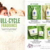 SEA SALT & AVOCADO SCENTSY DRYER DISKS