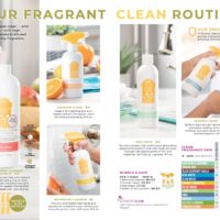 SCENTSY CLEAN FALL 2019