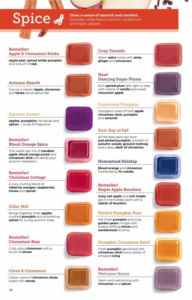 SCENTSY FALL WINTER 2020 CATALOG REQUEST | Shop Scentsy | Incandescent.Scentsy.us