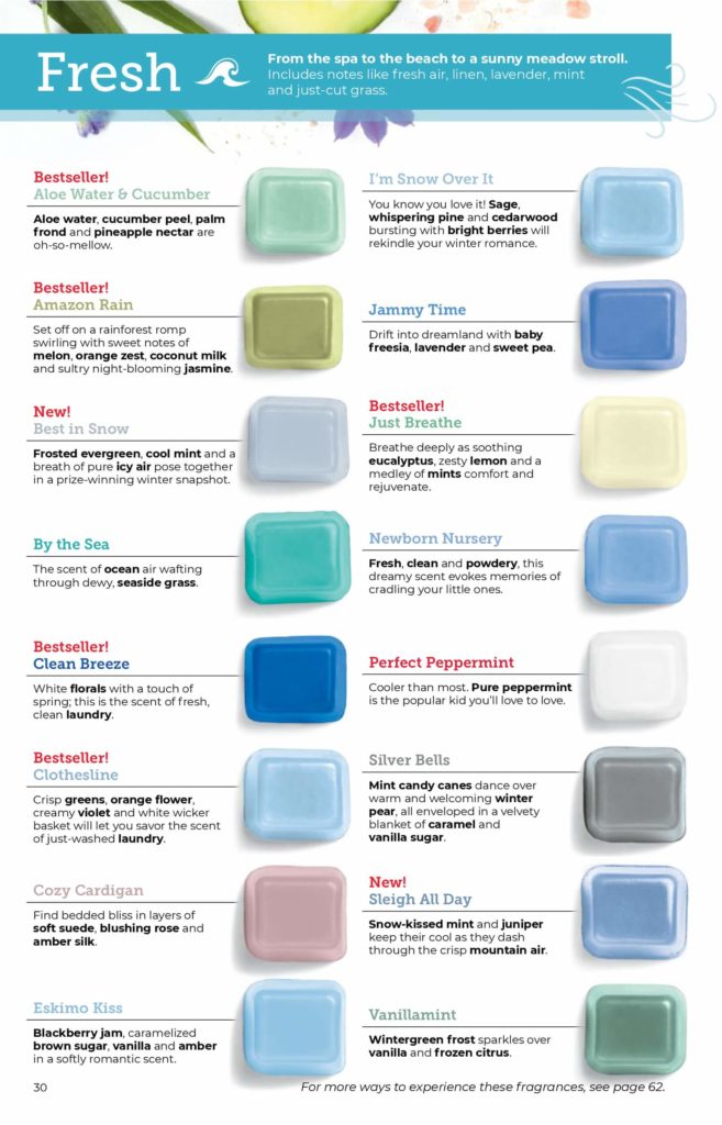 SCENTSY FALL WINTER 2020 CATALOG REQUEST | Shop Scentsy | Incandescent.Scentsy.us