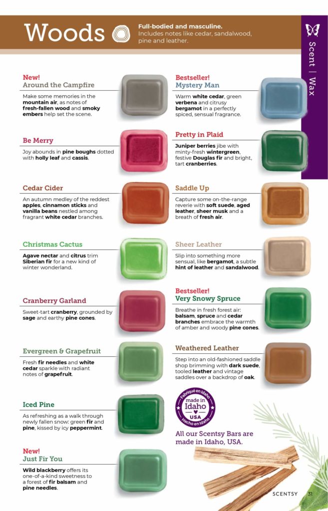 SCENTSY FALL WINTER 2020 CATALOG REQUEST | Shop Scentsy | Incandescent.Scentsy.us