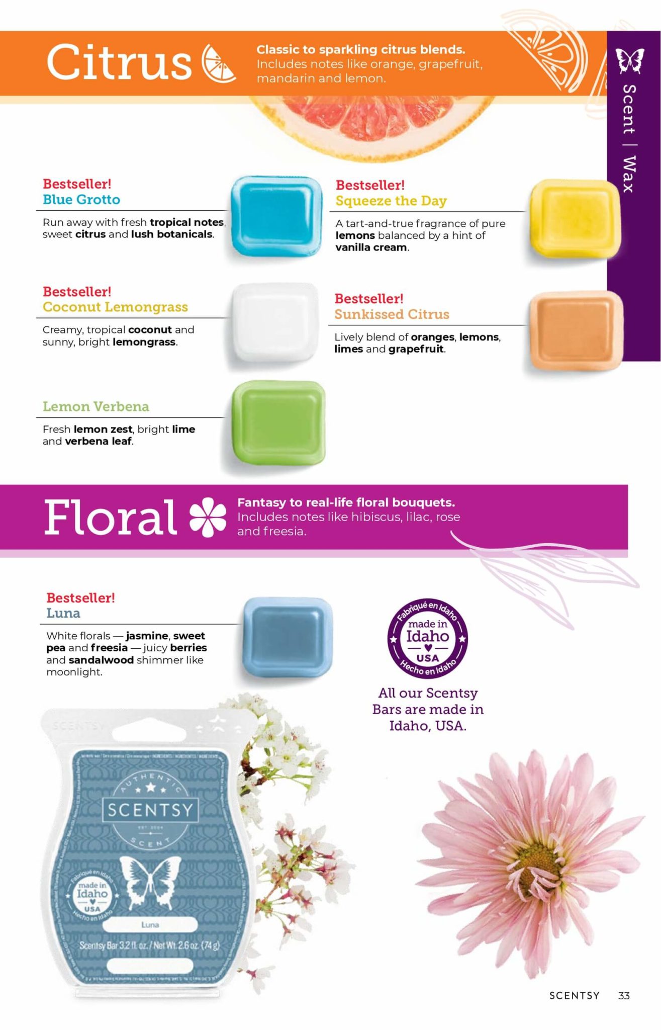 SCENTSY FALL WINTER 2020 CATALOG REQUEST Shop Scentsy Incandescent