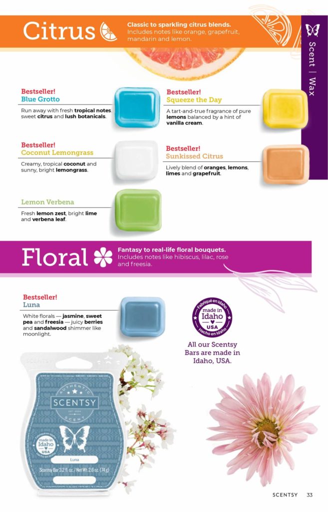 SCENTSY FALL WINTER 2020 CATALOG REQUEST | Shop Scentsy | Incandescent.Scentsy.us