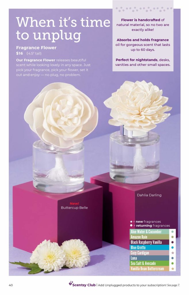 SCENTSY FALL WINTER 2020 CATALOG REQUEST | Shop Scentsy | Incandescent.Scentsy.us