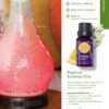 SCENTSY FALL WINTER 2020 CATALOG REQUEST | Shop Scentsy | Incandescent.Scentsy.us
