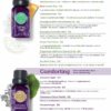 SCENTSY FALL WINTER 2020 CATALOG REQUEST | Shop Scentsy | Incandescent.Scentsy.us