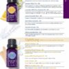 SCENTSY FALL WINTER 2020 CATALOG REQUEST | Shop Scentsy | Incandescent.Scentsy.us