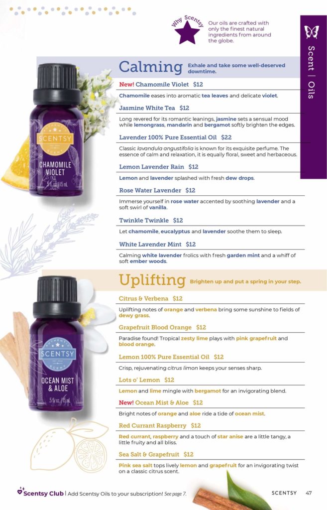 SCENTSY FALL WINTER 2020 CATALOG REQUEST | Shop Scentsy | Incandescent.Scentsy.us