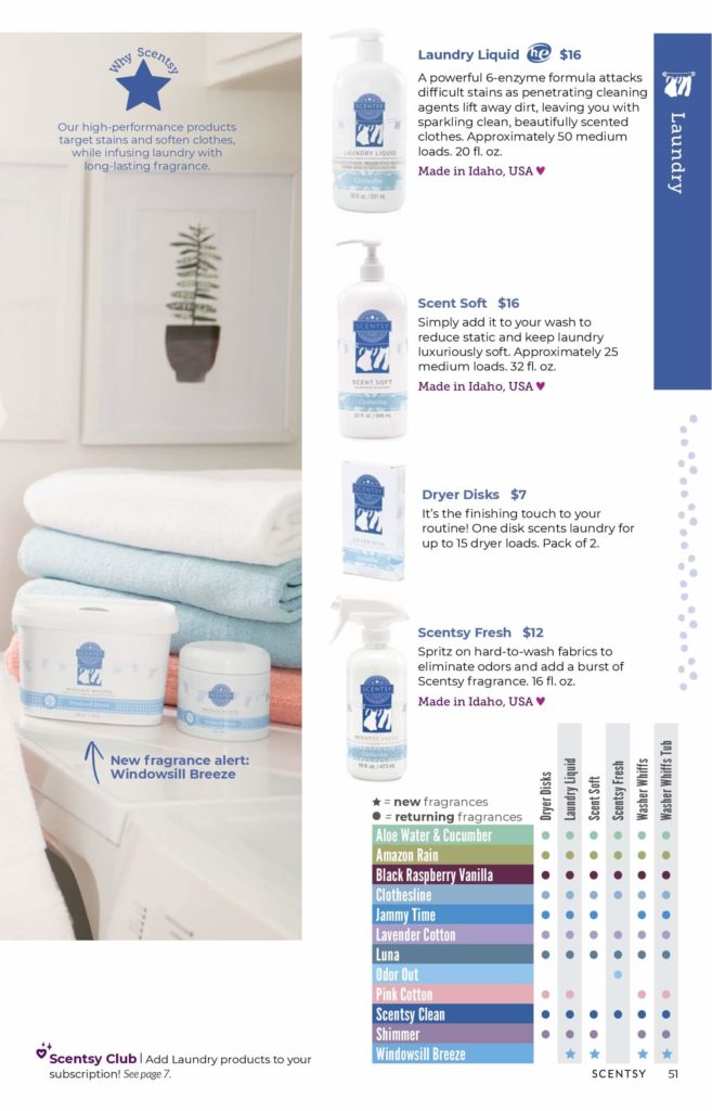 SCENTSY FALL WINTER 2020 CATALOG REQUEST | Shop Scentsy | Incandescent.Scentsy.us