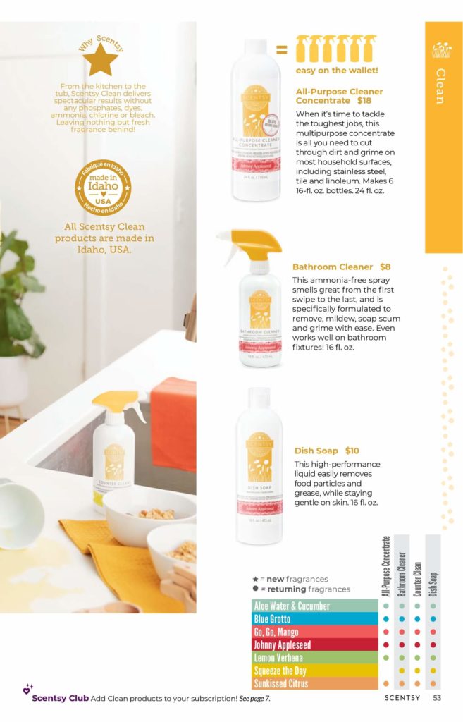 SCENTSY FALL WINTER 2020 CATALOG REQUEST | Shop Scentsy | Incandescent.Scentsy.us