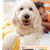 SCENTSY FALL WINTER 2020 CATALOG REQUEST | Shop Scentsy | Incandescent.Scentsy.us