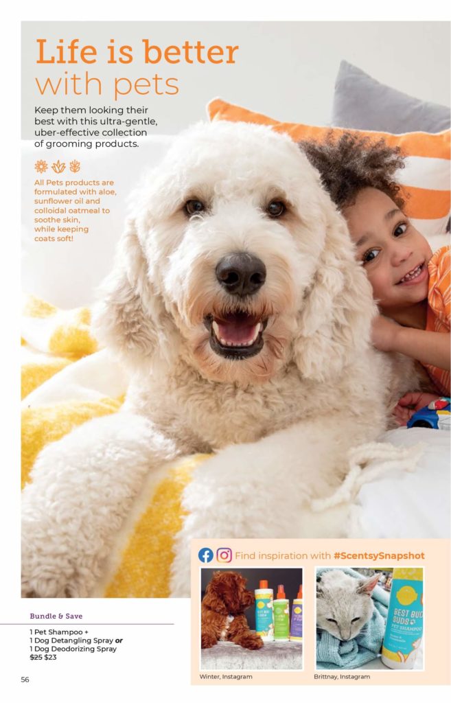 SCENTSY FALL WINTER 2020 CATALOG REQUEST | Shop Scentsy | Incandescent.Scentsy.us