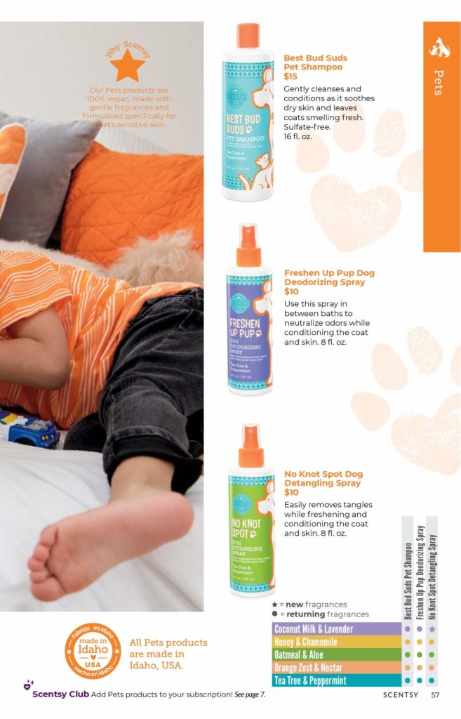 SCENTSY FALL WINTER 2020 CATALOG REQUEST | Shop Scentsy | Incandescent.Scentsy.us
