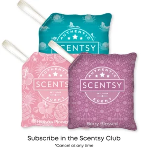 Scentsy Club - New Exclusive product category!