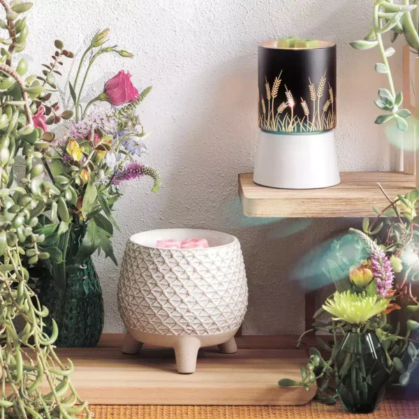 Take A Stand Scentsy Warmer