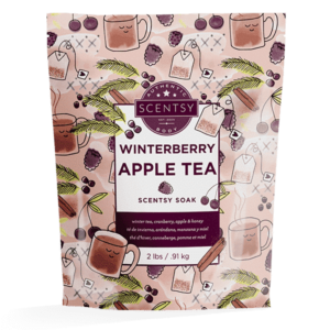 WINTERBERRY APPLE TEA SCENTSY SOAK