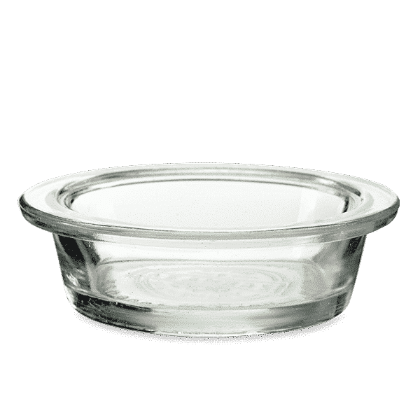 ENCHANTED PUMPKIN SCENTSY WARMER DISH ONLY