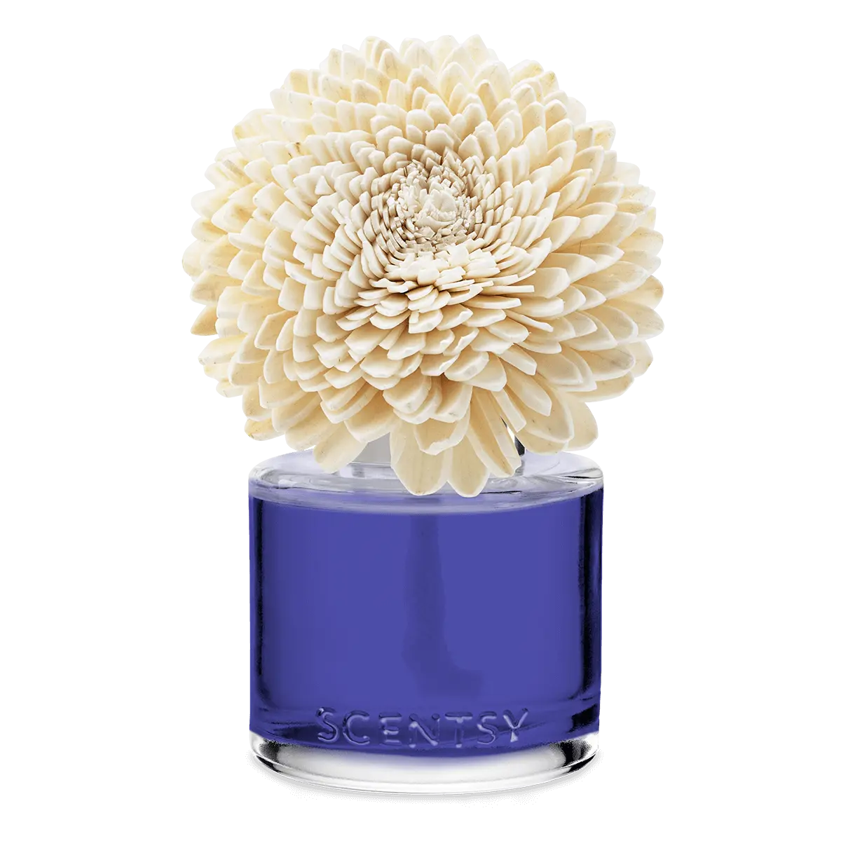 Kindness Zinnia Zen Scentsy Fragrance Flower