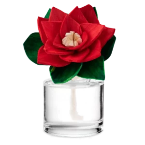 Cranberry Candy Cane Poinsettia Scentsy Fragrance Flower | Holiday 2023