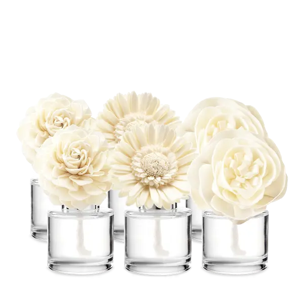 Last Chance Scentsy 6-Fragrance Flower Bundle