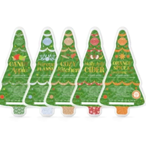 Scentsy 2023 Holiday 5 Brick Bundle ALL