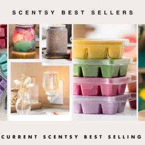 Wild for Wildflowers Scentsy Bar
