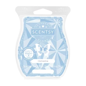 Clothesline Scentsy Bar