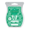 Cucumber & Cactus Water Scentsy Bar