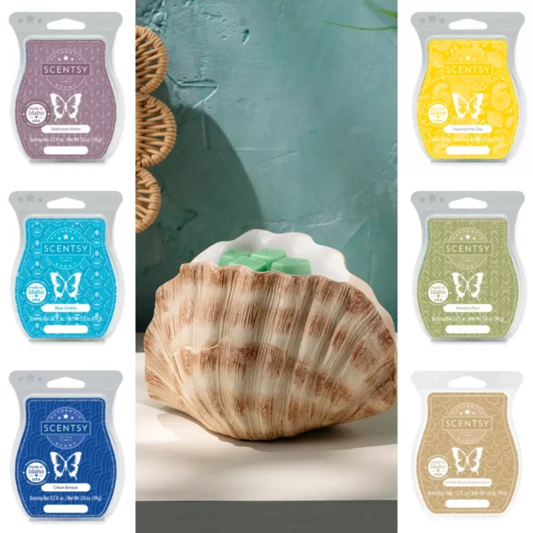 Seashell Scentsy Warmer & Wax Bundle
