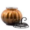 Starry Pumpkin Scentsy Warmer | October 2023