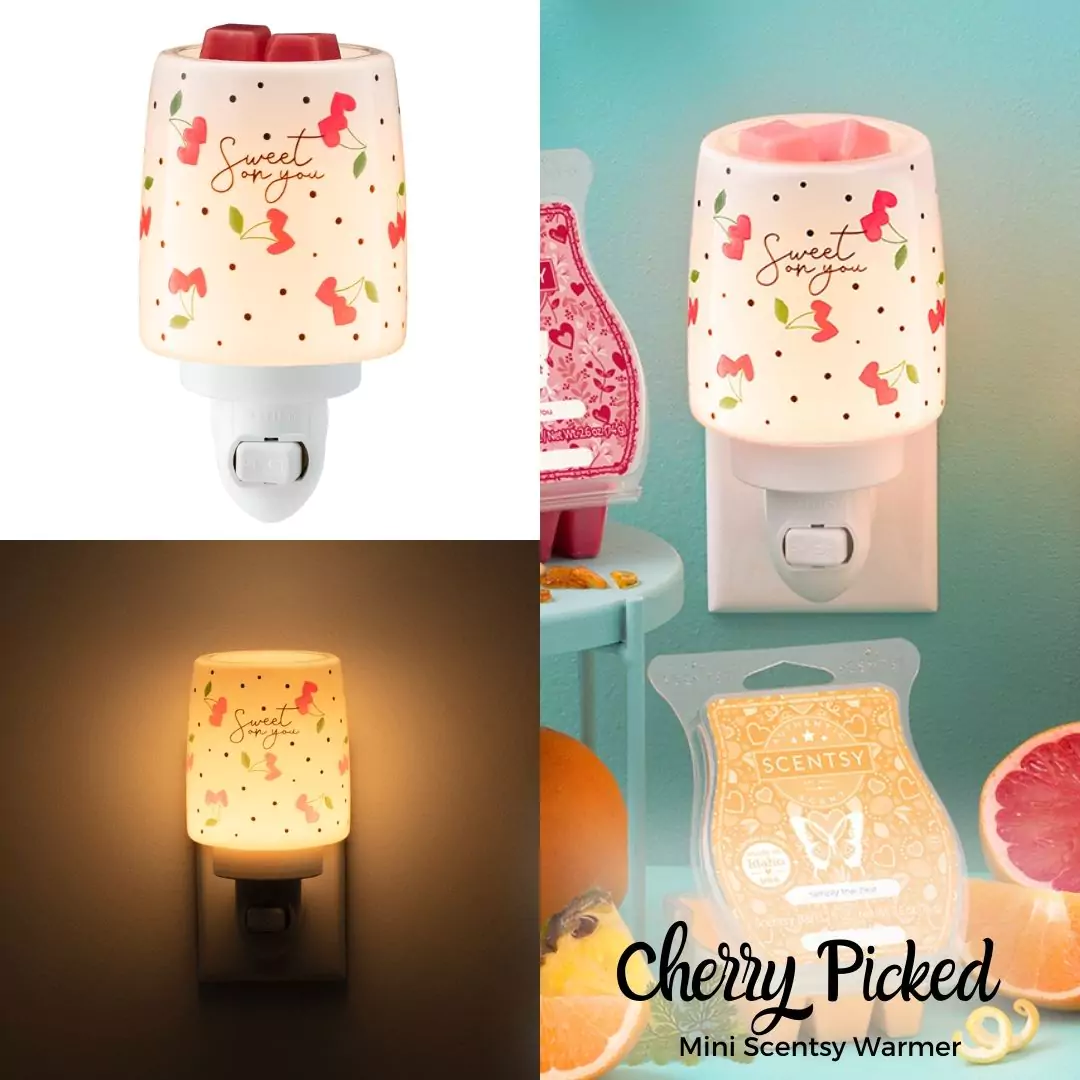 Scentsy 2024 Valentine's Day Collection