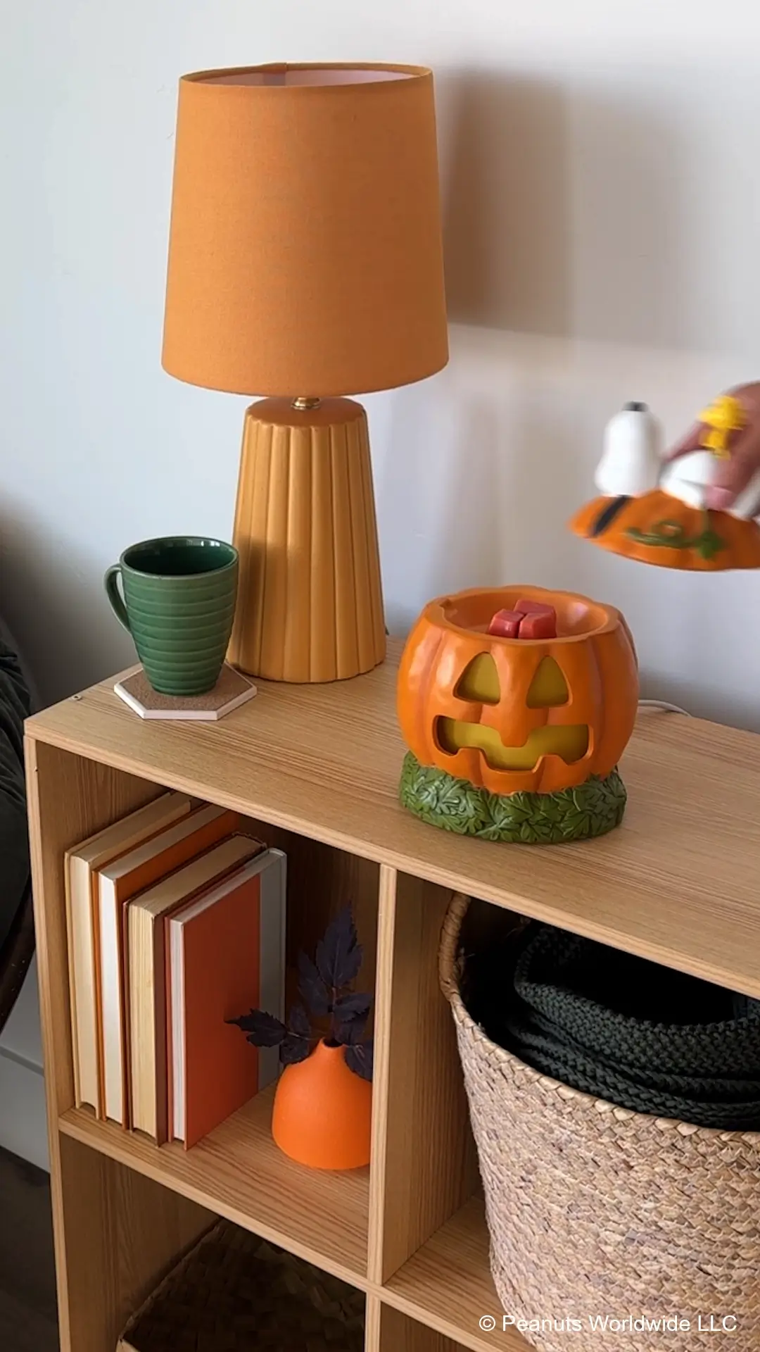 Watch on TikTok